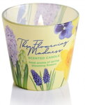 Flowering Madness 2