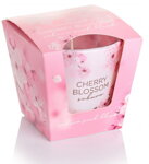 Cherry Blosson 2