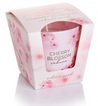 Cherry Blosson 1
