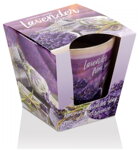 Lavender FIELDS & SOAP 2