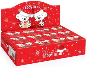 Winter Teddy Bear