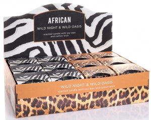 African Wild Night