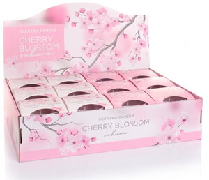 Cherry Blosson
