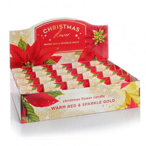 Christmas Flower 70mm box